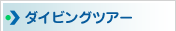 ダイビングツアー案内